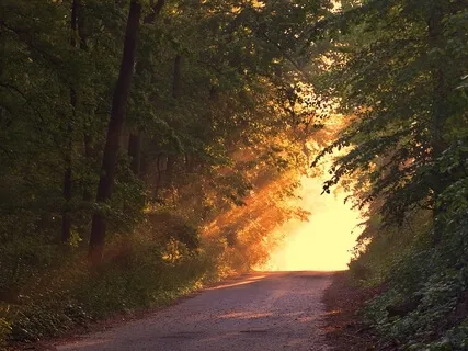 Filling Up With Light