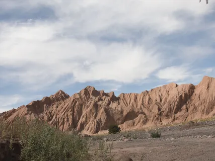 Film Out Cover a la Fuente