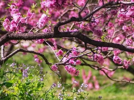 Filtered Focus Instrumental Vibes