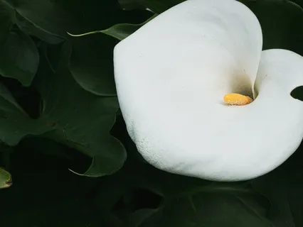 Filtered Focus Vibes