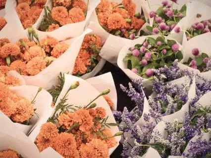 Final Phase: Viloma I Breath Practice And Sound Healing