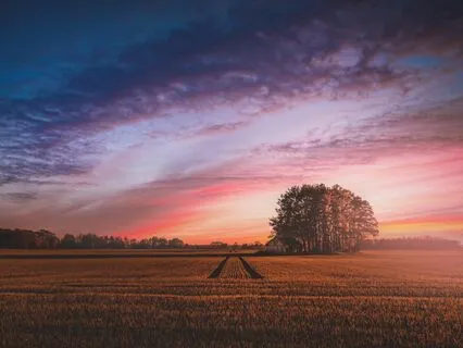 Final Twilight | Ambient Music For Deep Healing Sleep