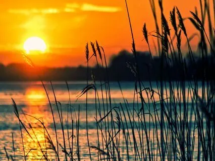 Finally Forgive Yourself - The Missing Link