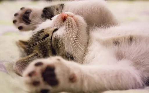 Finally Putting Things Down...