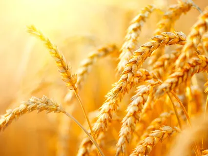 Abundance Affirmations