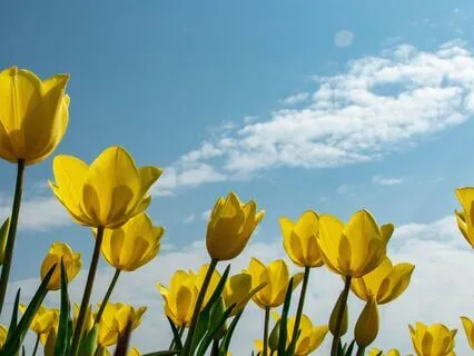 Financial Abundance Affirmations