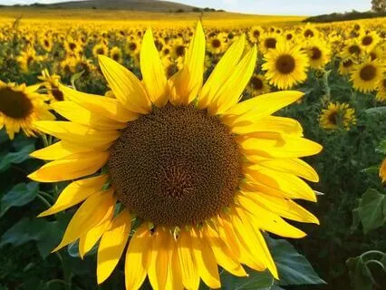 Financial Abundance EFT Tapping Meditation