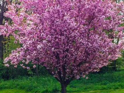 Financial Abundance Is Always Available To You EFT Tapping