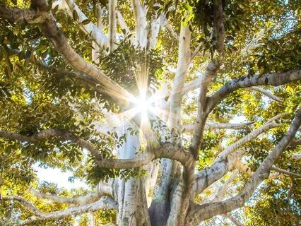 Financial Abundance Meditation