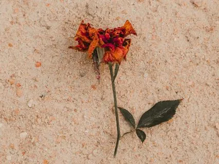 Financial Empowerment And Attunement