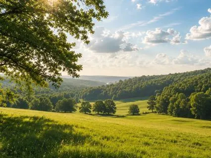 Financial Peace - Daily Reset