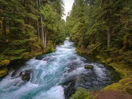 Find A Pleasant Emotion - Meditation 58