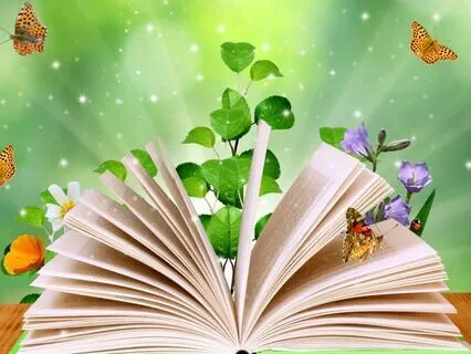 Find And Enter Your Own Heart Library