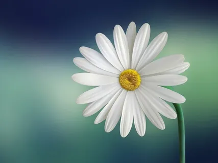 Find Calm And Inner Peace 