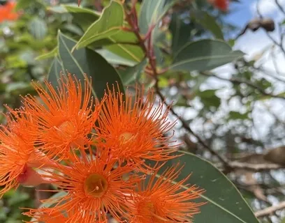 Find Calmness And Peace Within 