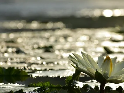 Find Clarity And Make The Right Choices