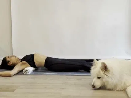 Find Ease: Restorative Breathing