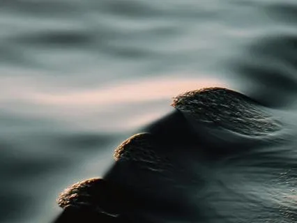 Find Focus and Mental Clarity (432 & 528 Hz)