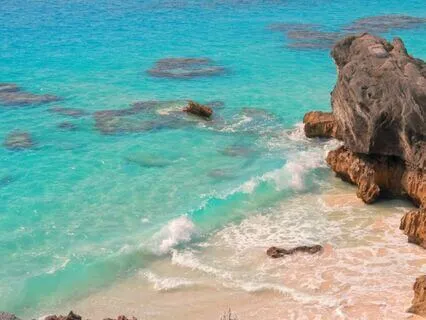 Find Freedom Focus: Let Go And Live Fully 15 Hz