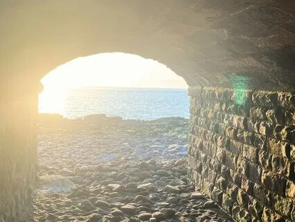 Find Gratitude Amidst Overwhelm