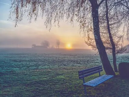 Find Hope In Stillness