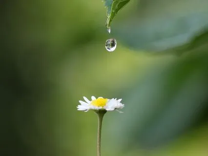 Find Inner Calm: 1:1 Breathing Meditation