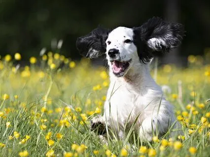 Find Inner Peace And Stillness Through Acceptance