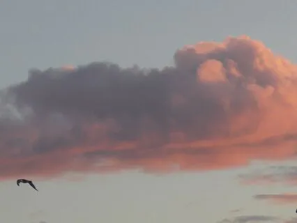 Find Inner Peace - Focus Only On The Sensations Of Breathing