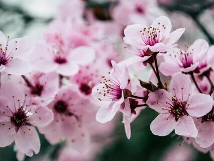 Better Sleep Through Relaxing Meditation Music