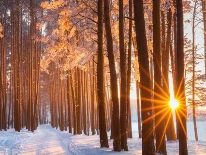 Find Inner Peace: Relax With Waterfall Sounds 2Hz Waves