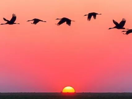 Find Inner Peace With Forgiveness Yoga Nidra