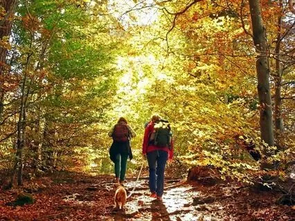 Find Inner Warmth Through Loving Kindness