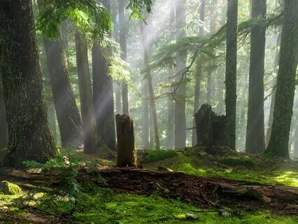 Find Love For Those You Dislike