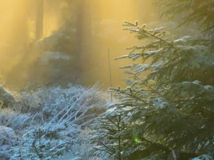 Find Peace And Calm On The Busiest Of Days