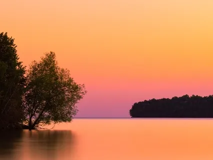 Find Peace By Looking Within