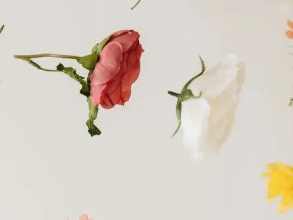 Find Peace In A Challenging Situation - A Healing Meditation