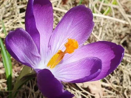 Find Peace In Accepting What Is