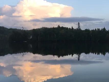 Find Peace in Gratitude