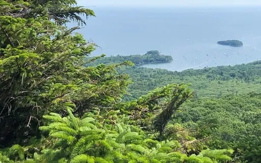 Find Peace In The Now