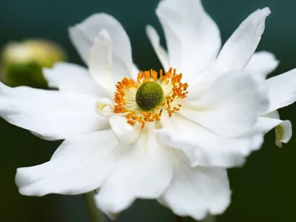 Find Peace In The Stillness Of The Night