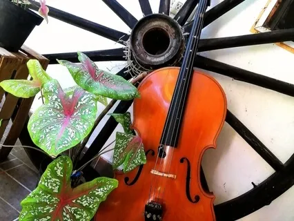 Find Peace, Smooth Cello+Happy Birds