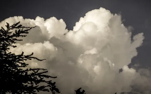 Find Peace Through Affirmations