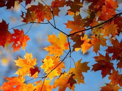 Find Peace Through Radical Acceptance