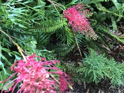 Find Peace With The Changes Of Life