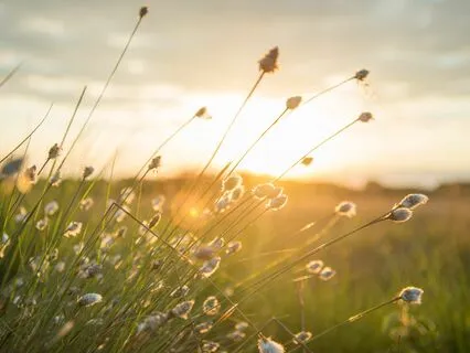 Find Safety Inside Yourself - Meditation 80