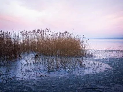 Find Stillness Amidst Movement With Healing Harp (963 Hz)