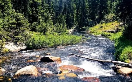 Find Stillness In Nature