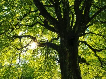 Find Stillness In This Great Transition