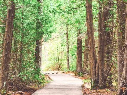 Find Stillness: Reconnect With The Present Moment