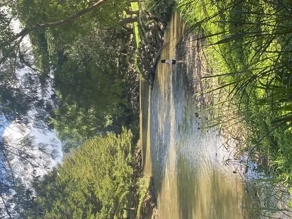 Find The Balanced Goddess Within With These Affirmations 